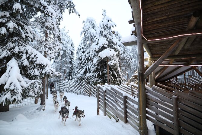 Santa Claus Village, Husky and Reindeers Combo Safari - A Short Lapland Taste: What This 4-Hour Combo Really Gives You