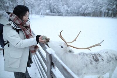 Santa Claus Village, Husky and Reindeers Combo Safari - Santa Claus Village: Arctic Circle Crossing and the Santa Moment