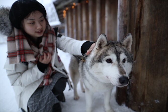 Santa Claus Village, Husky and Reindeers Combo Safari - Price Check: Does $252.32 Feel Like Value?