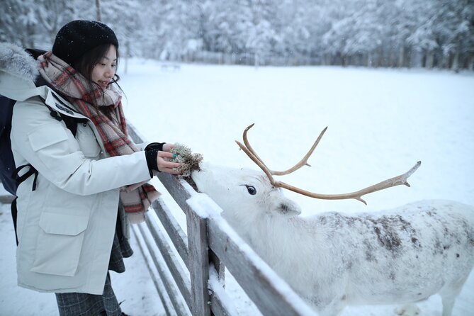 Santa Claus Village, Husky and Reindeers Combo Safari - Santa Claus Village: Arctic Circle Crossing and the Santa Moment