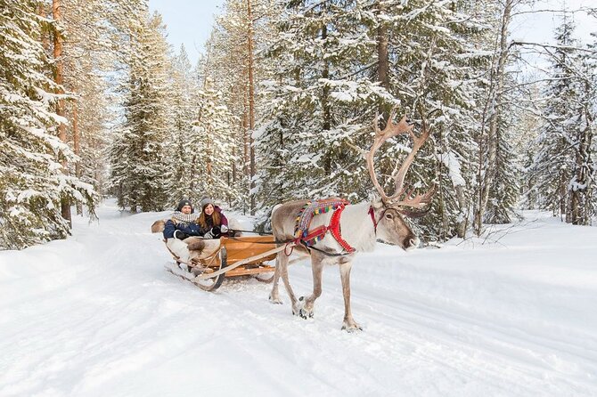 Santa's Reindeer & Husky Safari + Aurora BBQ in Rovaniemi - Evening Aurora Hunt: Two Dark-Sky Spots and the Kota BBQ Plan