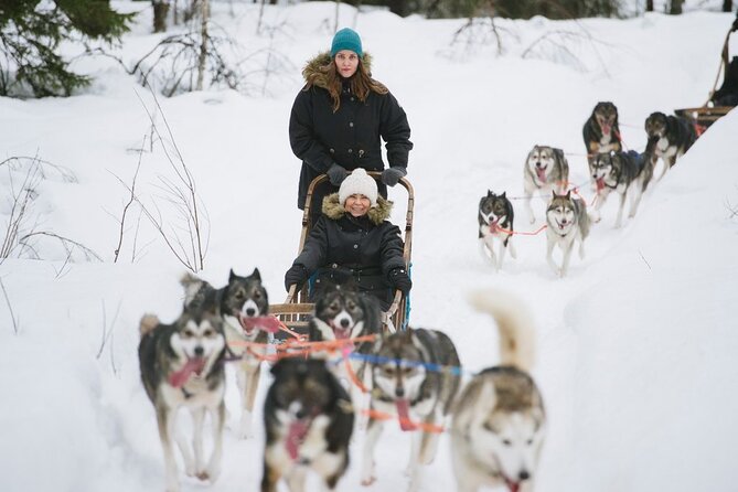 Santa's Reindeer & Husky Safari + Aurora BBQ in Rovaniemi - Price and Value: What $289.04 Really Buys You