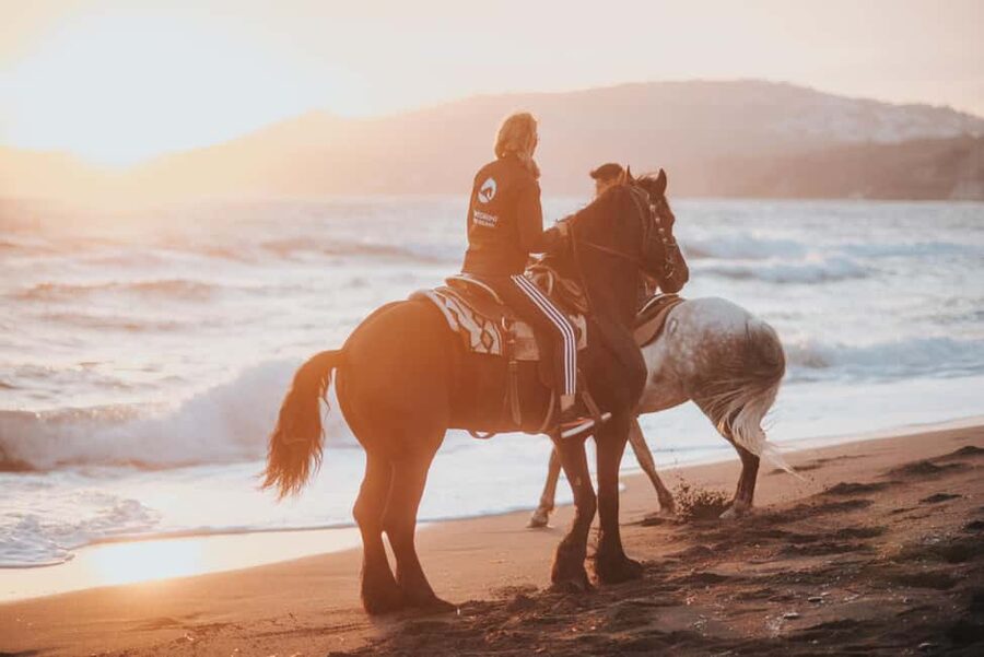 Santorini: Extreme Horse Safari with Beach Gallop - Key highlights worth getting excited about