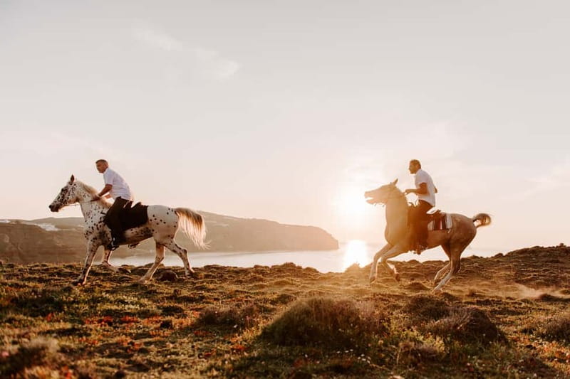 Santorini: Extreme Horse Safari with Beach Gallop - Price and value: is $176 worth an extreme riding day?
