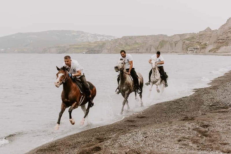 Santorini: Extreme Horse Safari with Beach Gallop - From vineyards to Eros Beach: the route you’ll feel in your legs