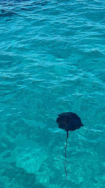 Sarandë Sea Safari: Speedboat to Hidden Coves & Wild Beaches - Entering the Water From Sarandë Harbor (and Why It Works)