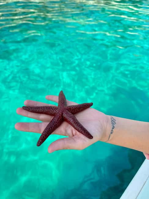 Sarandë Sea Safari: Speedboat to Hidden Coves & Wild Beaches - Kroreza Beach: The Long Break for Lunch, Drinks, and Slow Photos