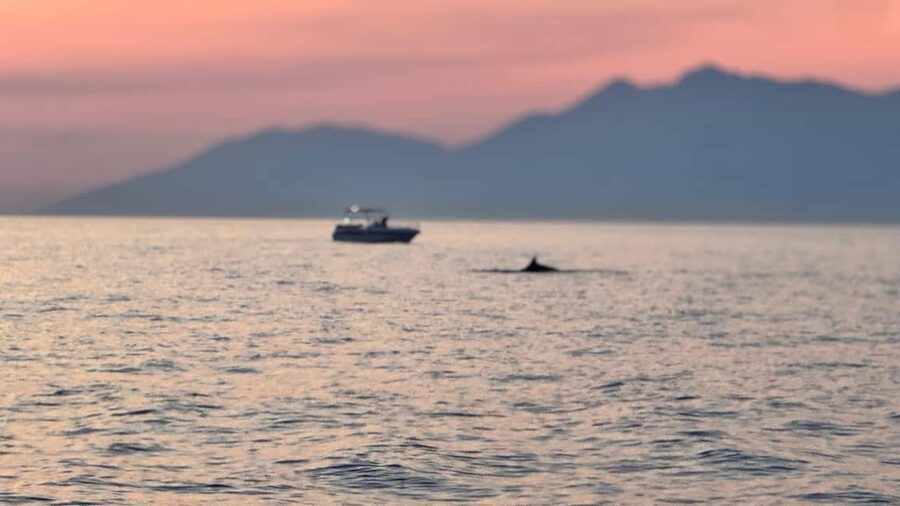 Sarandë Sea Safari: Speedboat to Hidden Coves & Wild Beaches - Shared vs Private vs Sunset: Choosing the Right Pace for You