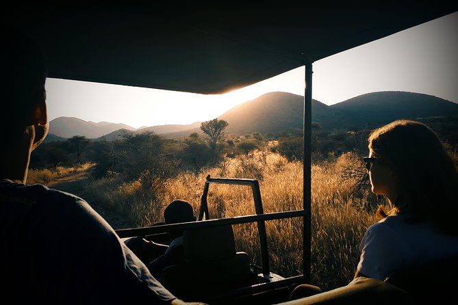 Scenic Game Drive Activity - Key Things I’d Put on Your Radar