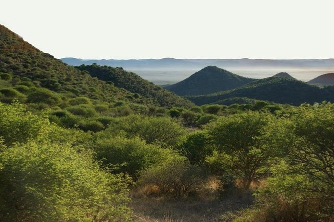 Scenic Game Drive Activity - Pickup Window and Sunset Timing: How to Plan Your Late Afternoon