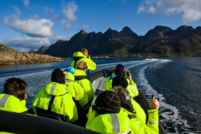 Sea Eagle Safari from Svolvær to Trollfjorden - Trollfjorden stop: why that short visit matters