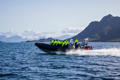 Sea Eagle Safari from Svolvær to Trollfjorden - Sea eagle sightings: what you’re really looking for
