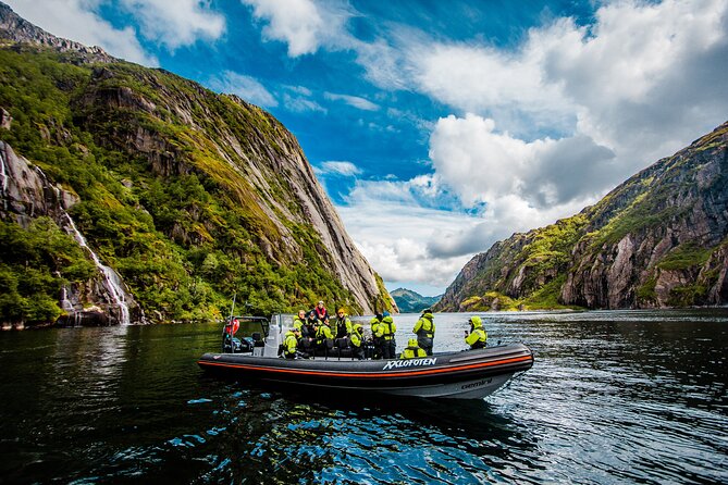 Sea Eagle Safari from Svolvær to Trollfjorden - Price and value: what $156.56 buys you