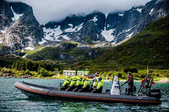 Sea Eagle Safari from Svolvær to Trollfjorden - Guides in the mix: why the commentary changes the trip
