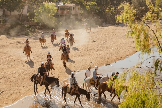 Sea Safari & Beach BBQ at secluded Pizota jungle beach - Waterfall Time: Go in Any Season, But Know Conditions Can Change