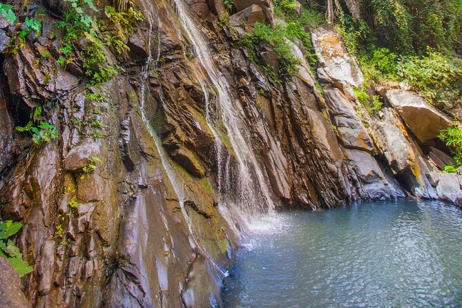 Sea Safari & Beach BBQ at secluded Pizota jungle beach - Price and Value: What $169 Really Buys (Plus the Extra Fees)