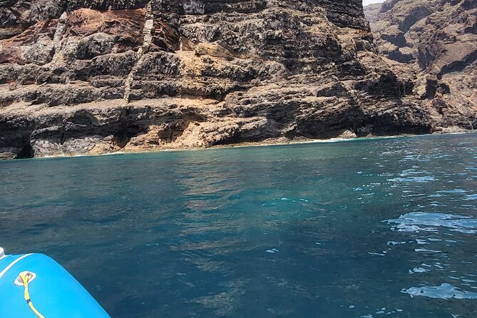 SEA SAFARI Dolphins, Whales, 3h speedboat DISCOVERY-TOUR - BladeFish Underwater Propulsion: A Real Activity, Not a Demo