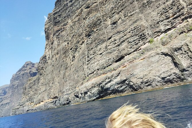 SEA SAFARI Dolphins, Whales, 3h speedboat DISCOVERY-TOUR - The Wildlife Viewing Angle: What You Should Be Ready to See