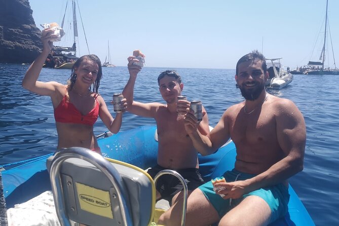 SEA SAFARI Dolphins, Whales, 3h speedboat DISCOVERY-TOUR - Motion, Seasickness, and Comfort on a Speedboat