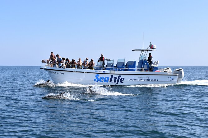 Sealife Sea Safari, Dolphin Watching with Marine Biologist's Lagos - Key Highlights You’ll Feel On the Water