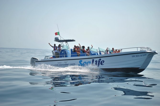 Sealife Sea Safari, Dolphin Watching with Marine Biologist's Lagos - Marine Biologist-Led Dolphin Watching in Lagos: What Makes It Worth Your Time