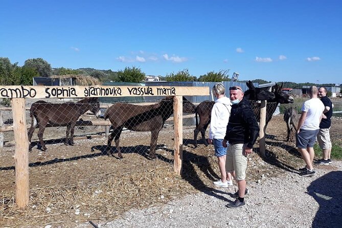 Self drive 4x4 Jeep Safari - Pick ups in the North - Saint Soula’s healing spring: the quick stop with meaning