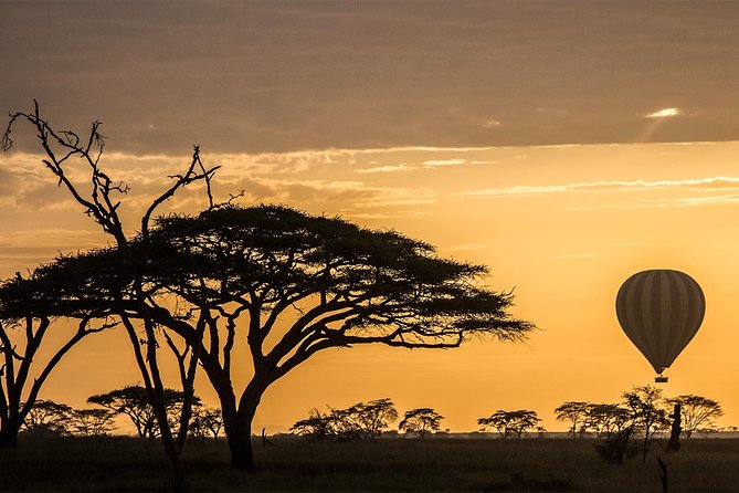Serengeti Balloon Safari and authentic bush breakfast - Seasonal Launch Zones: Kogatende, Ndutu Lake, Seronera, and Grumeti/Kiwarira