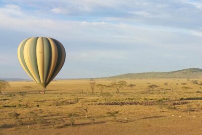 Serengeti Balloon Safari and authentic bush breakfast - What Happens Before Takeoff: Briefing, Basket Moments, and Wind Direction