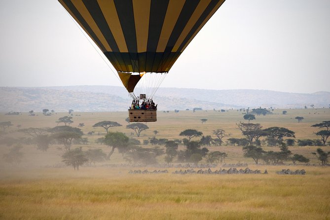 Serengeti Balloon Safari and authentic bush breakfast - Price and Value: Is $550 a Good Deal for Serengeti From the Sky?
