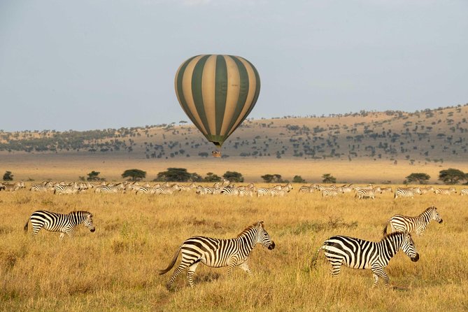 Serengeti Balloon Safari and authentic bush breakfast - Weather, Comfort, and Who Should Book This Safari
