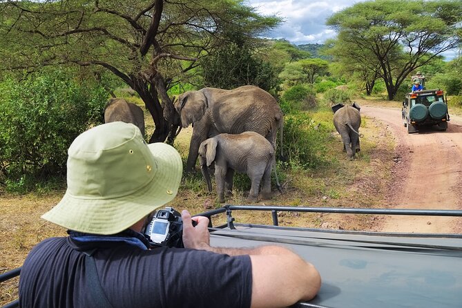Serengeti & Ngorongoro fly in safari - Key highlights you’ll feel right away