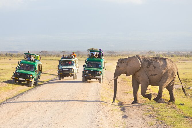 Serengeti & Ngorongoro fly in safari - Day 1 in Serengeti’s Seronera: arrival game drive and sunset viewing