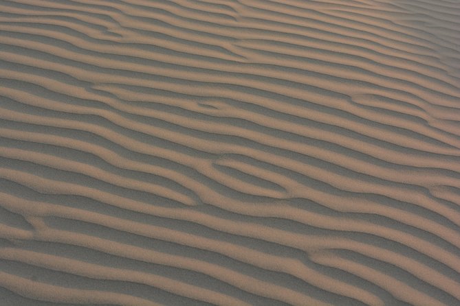 Shahi Half day non touristic sand dune camel safari with dinner - Key highlights worth your attention