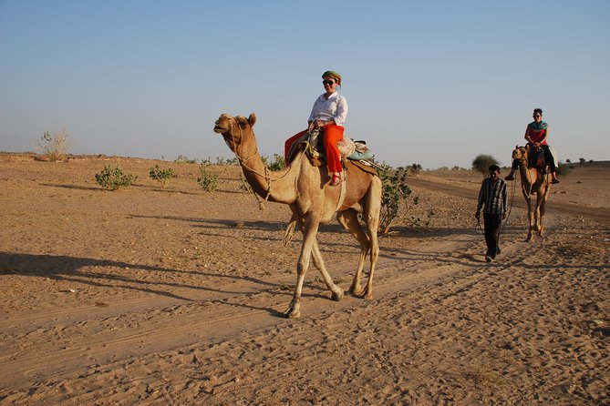 Shahi Half day non touristic sand dune camel safari with dinner - The 2:00 pm start: why the timing matters in Jaisalmer