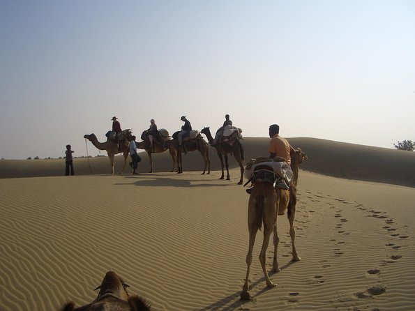 Shahi Over Night camel safari non touristic sand dune - Key things I’d bet on before you book