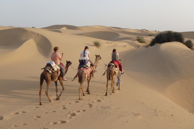 Shahi Over Night camel safari non touristic sand dune - Shahi Over Night Camel Safari: What the experience is really like