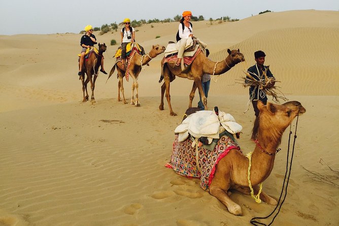 Shahi Over Night camel safari non touristic sand dune - Group size and guide style: why max 8 feels better in the desert