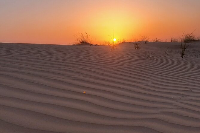 Shared Desert Safari Tour Dubai with Dinner Included - Shisha at camp: optional local flavor, not a requirement