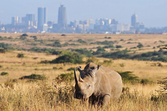 Shared Nairobi National Park Safari Tour - Key Things You’ll Notice on This Nairobi National Park Tour