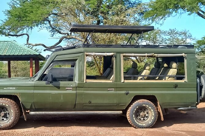 Shared Nairobi National Park Safari Tour - Group Size, Shared Format, and the Real-World Experience