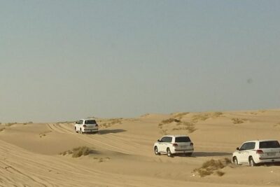 Sharing or Private Safari, Sand Boarding, Camel Ride, inland Sea Quick swim - Mesaieed: the industrial stop that sets the mood