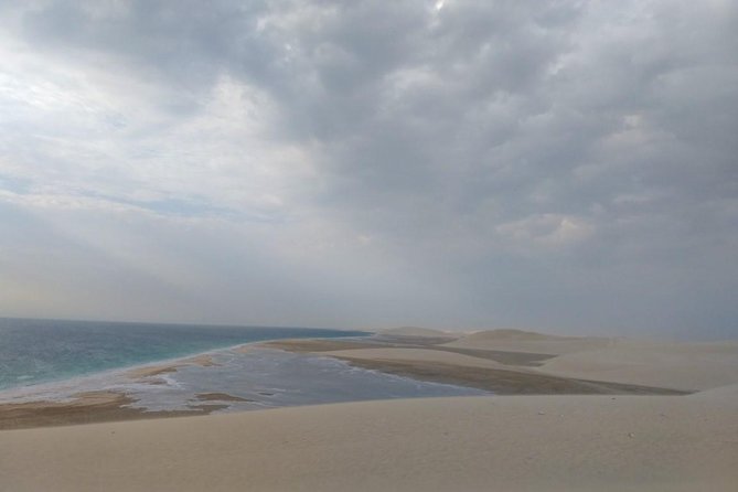 Sharing or Private Safari, Sand Boarding, Camel Ride, inland Sea Quick swim - Sealine Beach: camel, dune action, sandboarding, and the quick swim