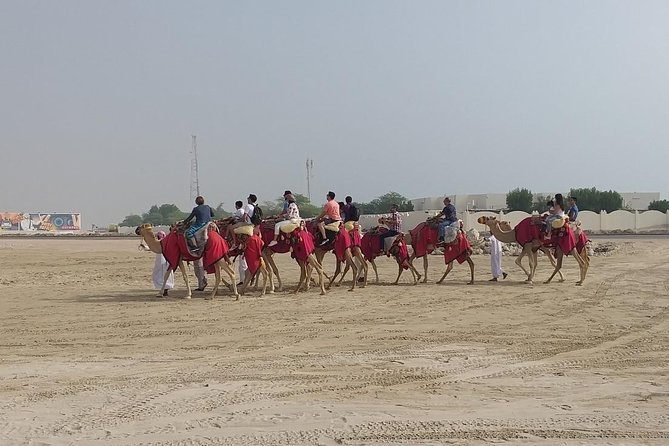 Sharing or Private Safari, Sand Boarding, Camel Ride, inland Sea Quick swim - What you’re really paying for in the $55 price