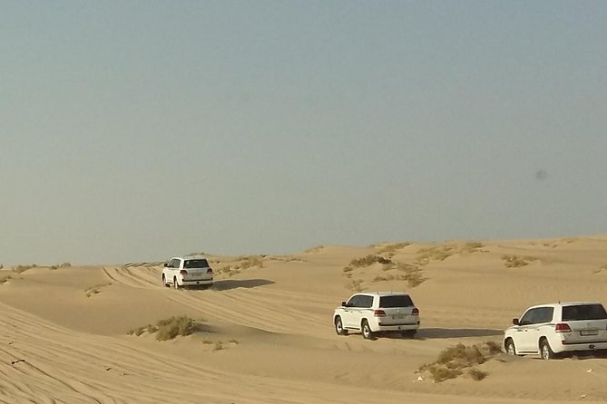 Sharing or Private Safari, Sand Boarding, Camel Ride, inland Sea Quick swim - Mesaieed: the industrial stop that sets the mood