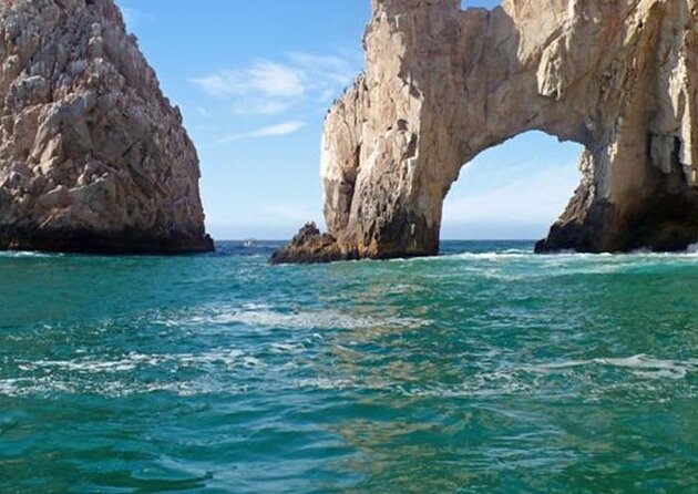 Shark Safari & Snorkel Adventure in Cabo San Lucas - Key things to know before you go