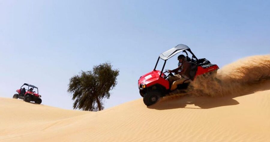 Sharm El-Sheikh: Desert Buggy Safari Adventure - Practical tips that make the safari smoother