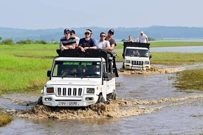 Sigiriya Hike & Minneriya Safari Private Full Day Tour - Timing, movement, and what to bring