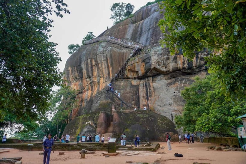 Sigiriya Lion Rock Hike & Minneriya National Park Safari - What you’re likely to see besides elephants