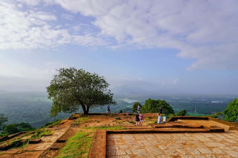 Sigiriya Lion Rock Hike & Minneriya National Park Safari - Why this safari feels different from a “drive-by”