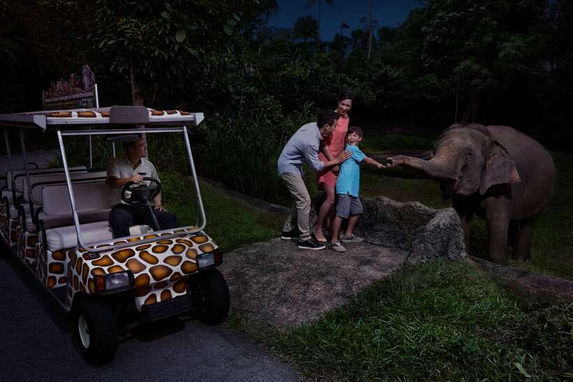 Singapore: Night Safari Entry Ticket with Tram Ride - Key Highlights Worth Planning For